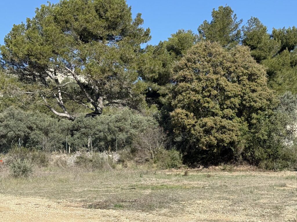 terrain à bâtir MERINDOL