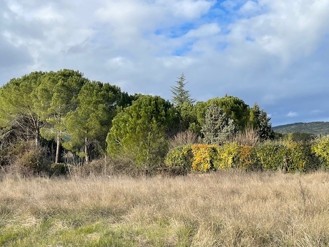 Belle parcelle sur Lauris