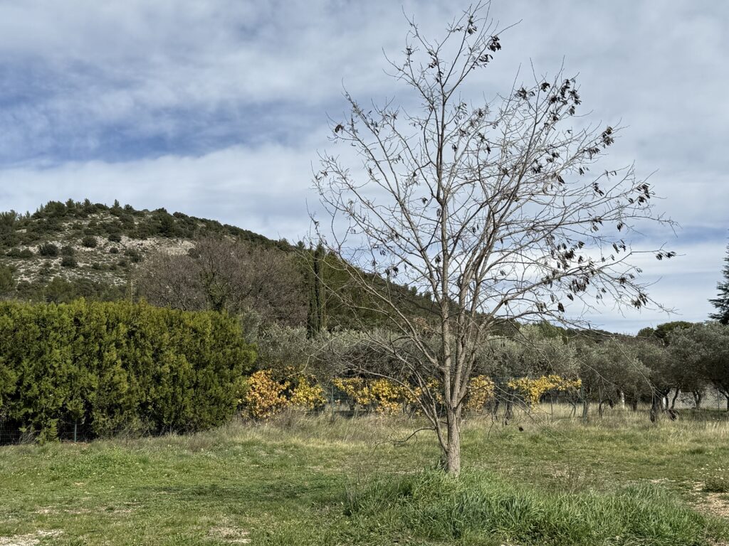terrain à bâtir MERINDOL