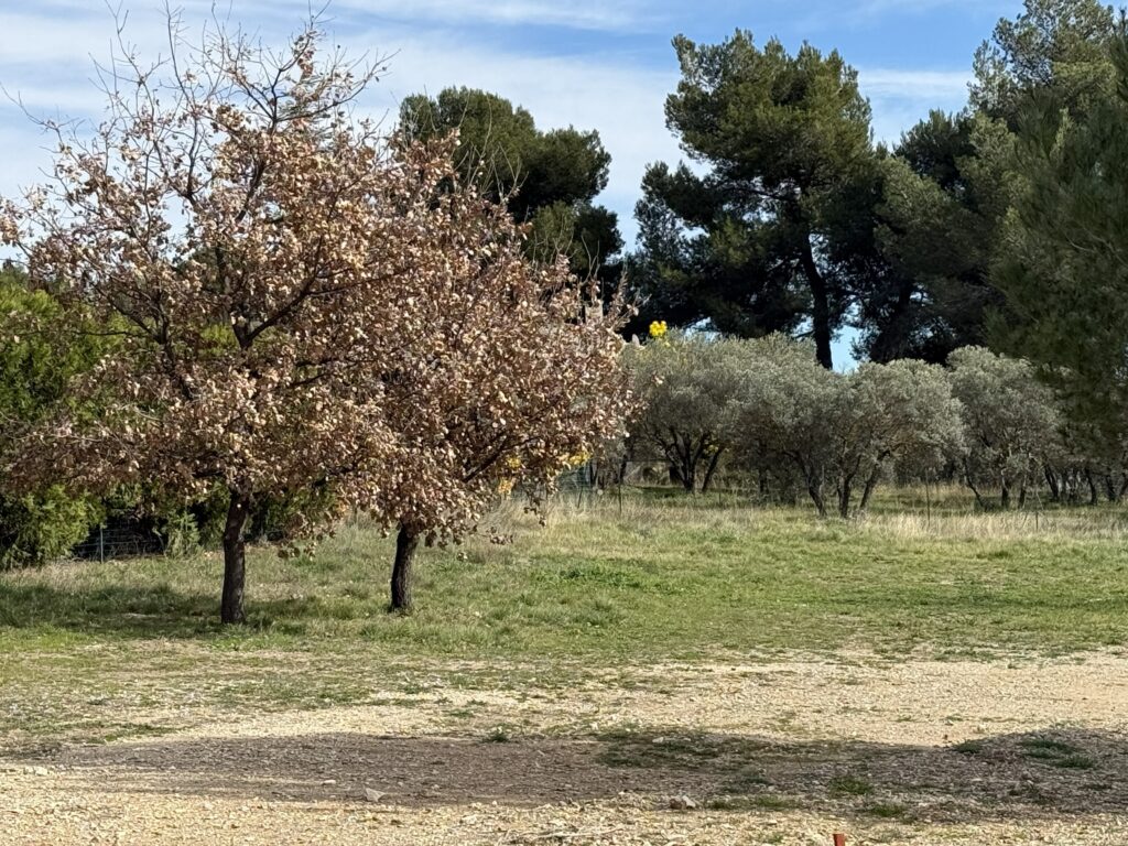 terrain à bâtir MERINDOL