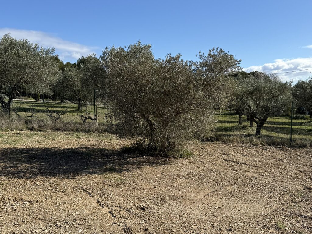 terrain à bâtir MERINDOL