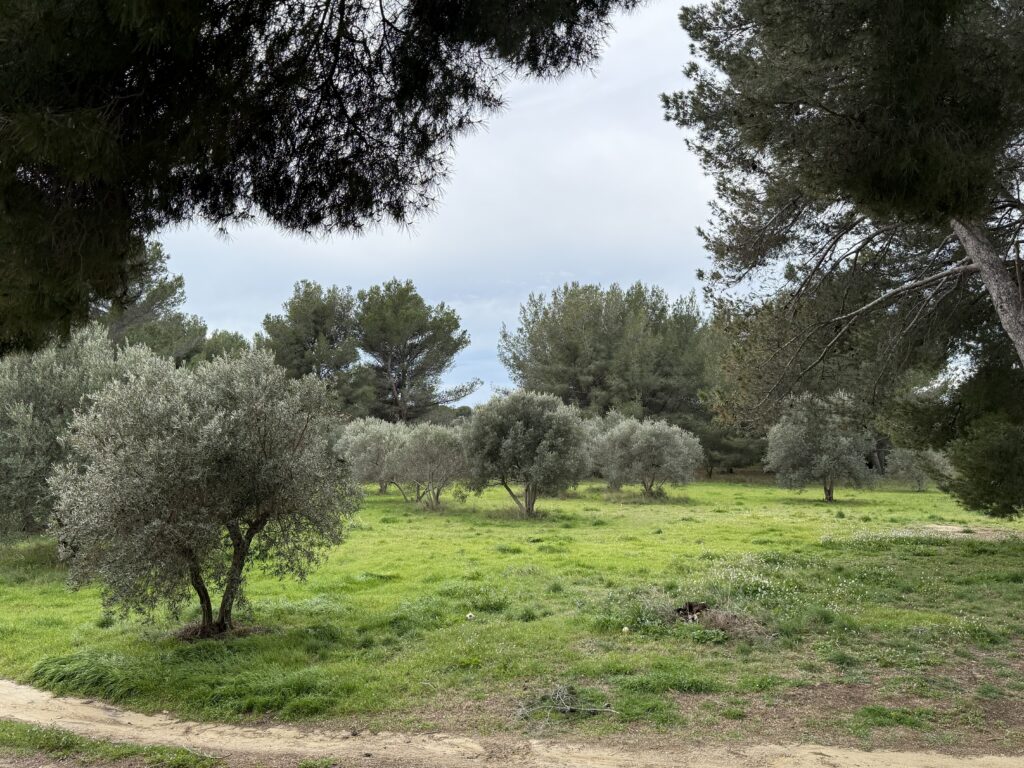 terrain à Batir saint chamas