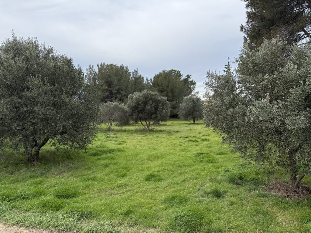 terrain à Batir saint chamas