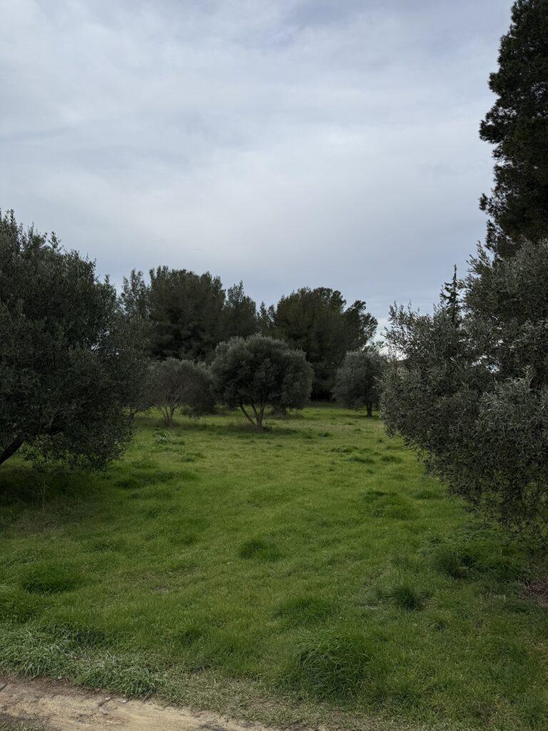 terrain à Batir saint chamas