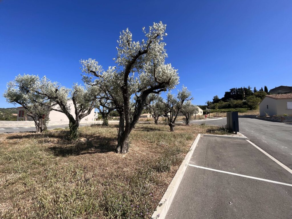 coup de foudre vaucluse