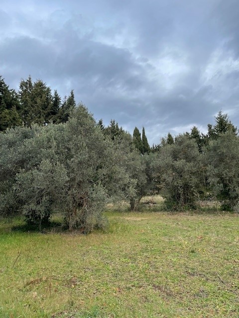 VENTE Terrain/Terre de 460m²  à Lançon-Provence