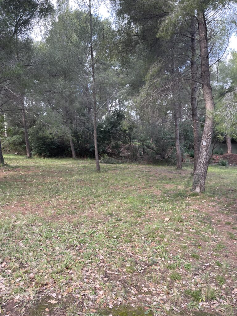 Un cadre privilégié pour construire votre villa à Ollioules