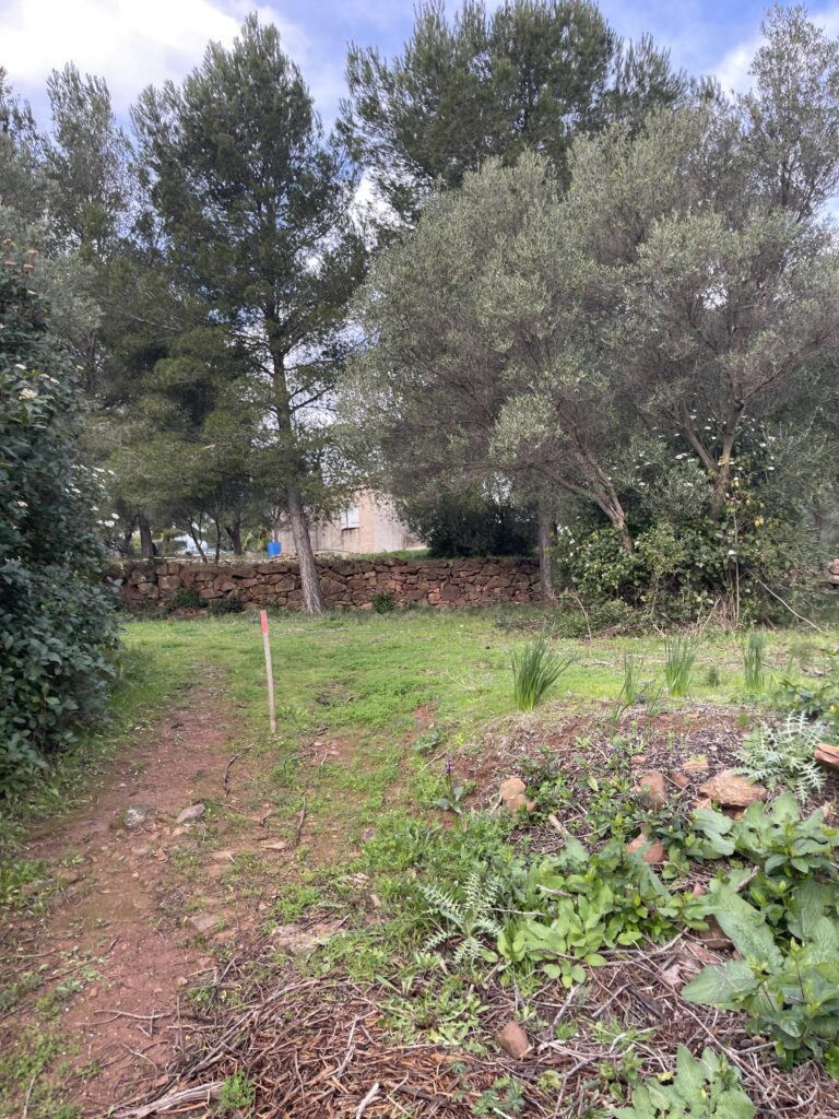 Un cadre privilégié pour construire votre villa à Ollioules
