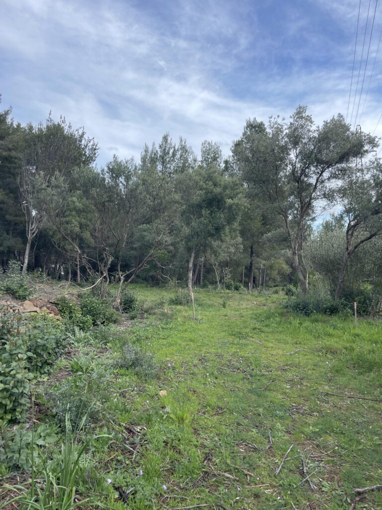 Un cadre privilégié pour construire votre villa à Ollioules