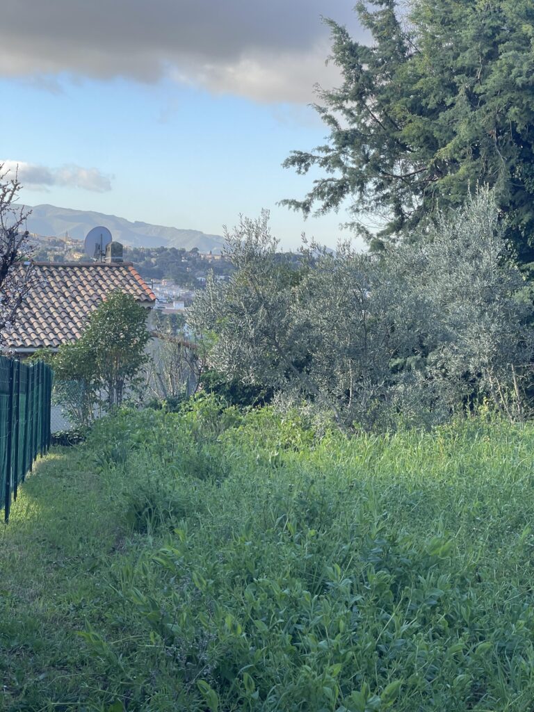 ALLAUCH – LOGIS NEUF | TERRAIN À BÂTIR 430 m²