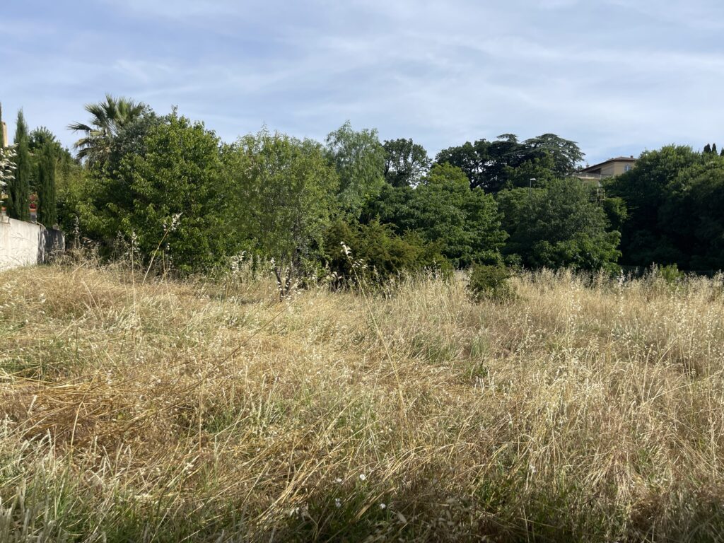TERRAINS À BÂTIR – MARSEILLE 11ÈME – LES ACCATES