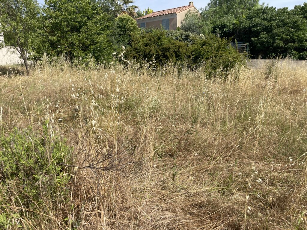 TERRAINS À BÂTIR – MARSEILLE 11ÈME – LES ACCATES