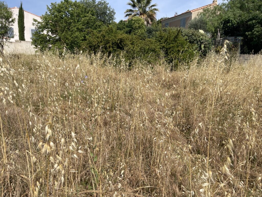 TERRAINS À BÂTIR – MARSEILLE 11ÈME – LES ACCATES