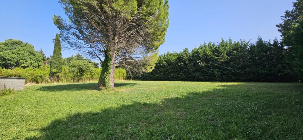 Magnifique Terrain avec grande Surface